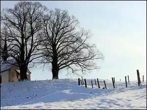 Ogrodzenie, Śnieg, Kościół, Drzewa