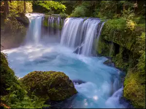 Skały, Spirit Falls, Omszałe, Wodospad, Stan Waszyngton, Stany Zjednoczone, Rzeka, Drzewa, Little White Salmon River, Kamienie