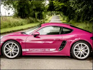 Bok, Porsche 718 Cayman Style Edition