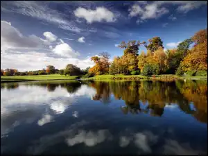 Łąka, Odbicie, Las, Jezioro, Obłoki