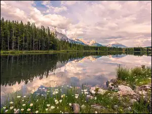 Chmury, Jezioro Upper Kananaskis Lake, Kamienie, Góry Canadian Rockies, Prowincja Alberta, Kanada, Drzewa, Kananaskis Country, Las, Roślinność