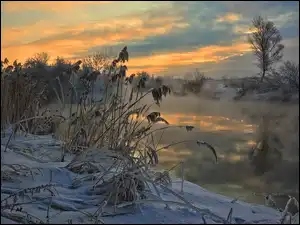 Śnieg, Zima, Suche, Zachód, Drzewa, Trawy, Słońca, Rzeka