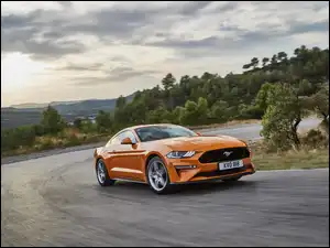Ford 2018 Mustang GT 5 0