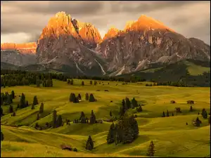 Seiser Alm, Val Gardena, Drewniane, Drzewa, Góry Sassolungo, Domy, Dolina, Dolomity, Chmury, Płaskowyż, Włochy