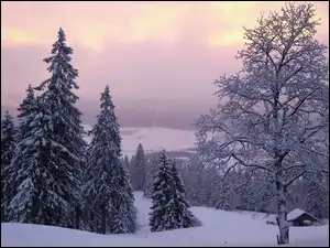 Zimowy krajobraz w Neuchatel