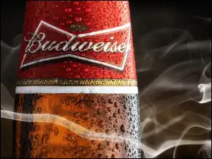Butelka piwa Budweiser