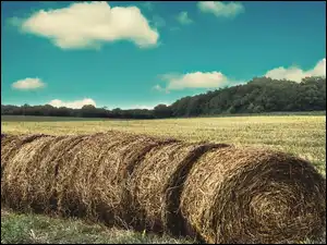 Niebo, Bale, Słomy, Pole