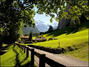 Camping Jungfrau, Szwajcaria, Droga, Góry, Lauterbrunnen