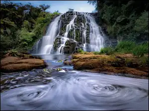 Nowa Zelandia, Drzewa, Waikato, Rzeka, Kamienie, Wodospad, Owharoa Falls, Las, Skała