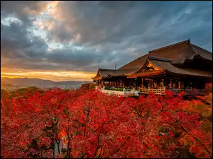 Jesień, Japonia, Świątynia, Drzewa, Kioto, Kiyomizu-dera, Promienie słońca, Dzielnica Higashiyama