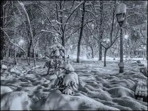 Park, Białe, Śnieg, Zima, Czarno
