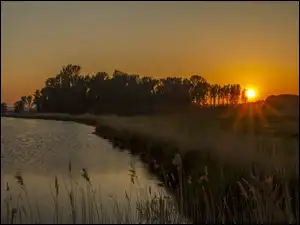 Trawy, Rzeka, Łąki, Słońca, Drzewa, Zachód