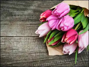 Papier, Różowe, Tulipany