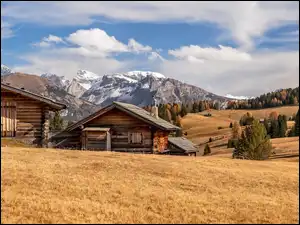 Włochy, Domki, Drzewa, Drewniane, Dolina Val Gardena, Płaskowyż Seiser Alm, Dolomity, Góry Sassolungo, Wzgórza, Chmury