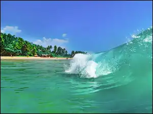 Palmy, Fale, Morze