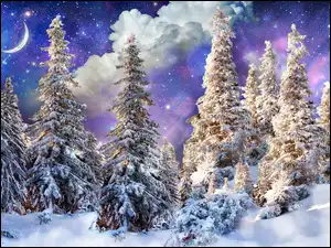 Śnieg, Zima, Świerki, Księżyc, Las, Noc