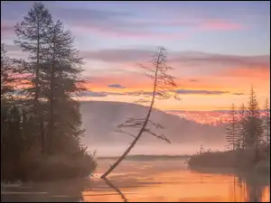 Kołyma, Jezioro, Wschód słońca, Rosja, Drzewa, Mgła, Jacka Londona
