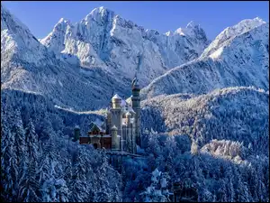 Bawaria, Zima, Zamek Neuschwanstein, Niemcy, Góry, Ośnieżone, Drzewa