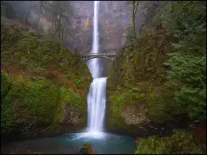 Multnomah, Wodospad, Skały, Oregon, Multnomah Falls, Drzewa, Stany Zjednoczone, Most