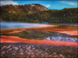 Park Narodowy Yellowstone, Gejzer, Góra, Stan Wyoming, Gorące źródło, Drzewa, Stany Zjednoczone, Grand Prismatic Spring