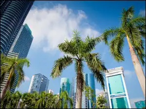 Drapacze Chmur, Malezja, Kuala Lumpur