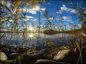 Trzciny, Wschód Słońca, Kamienie, Jezioro, Jesień