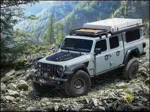 Prototyp, Jeep Gladiator Farout, 2020