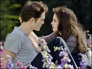 Kristen Stewart, Łąka, Kwiaty, Robert Pattinson