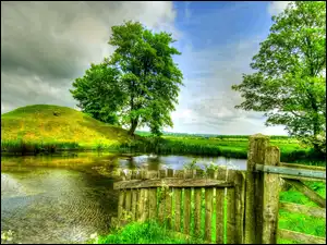 Drzewa, Jeziorko, Płotek, HDR, Wzgórek, Pole