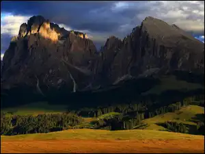 Lasy, Góry, Dolina, Drzewa