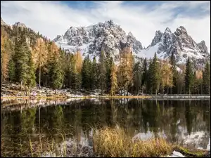 Drzewa, Jezioro, Dolomity, Prowincja Belluno, Antorno Lake, Masyw Tre Cime di Lavaredo, Włochy, Góry