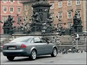 gołębie, Audi A6, Pomnik