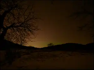 Delikatna zorza