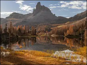 Alpy, Lago Federa, Żółta, Brązowe, Góry, Trawa, Jezioro, Jesień, Drzewa, Dolomity, Włochy