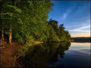 Ławka, Zachód słońca, Drzewa, Zielone, Jezioro