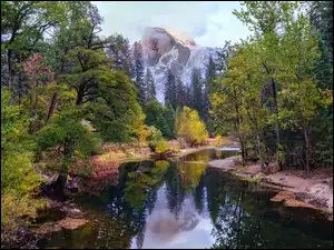 Drzewa, Kalifornia, Merced River, Half Dome, Rzeka, Park Narodowy Yosemite, Góry, Stany Zjednoczone, Szczyt