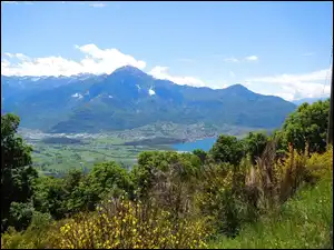 Drzewa, Góry, Jezioro
