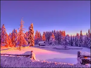 Pola, Zachód Słońca, Las, Zima, Dom