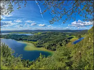 Jezioro otoczone lasami we Francji