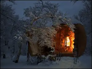 Las, Zima, Domek, Oświetlony, Drzewa