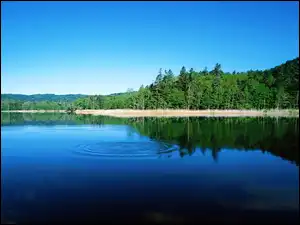 Las, Piękne, Błękitne, Jezioro