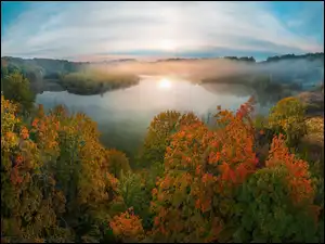 Drzewa, Mgła, Las, Jezioro, Jesień