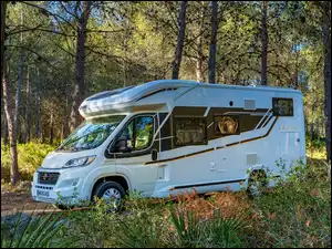 Las, Benimar Mileo 242, Kamper