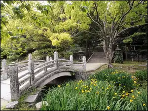 Mostek, Japonia, Japoński, Ogród, Roślinność