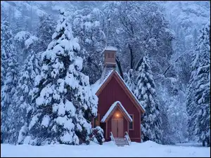 Las, Stan Kalifornia, Kościółek, Drzewa, Kaplica, Park Narodowy Yosemite, Zima, Stany Zjednoczone, Ośnieżone