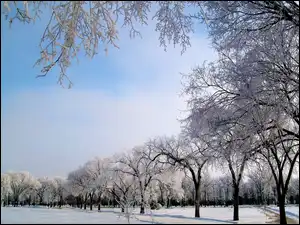 Park, Śnieg, Niebo, Zima, Droga