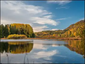 Jezioro, Norwegia, Las, Jesień, Semsvannet, Drzewa