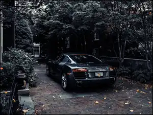 Dom, Czarne, Audi R8, Tył
