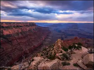 Kolorado, Park Narodowy Wielkiego Kanionu, Drzewa, Stany Zjednoczone, Chmury, Skały, Grand Canyon