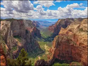 Wąwóz, Góry, Rośliny, Stan Utah, Kanion, Park Narodowy Zion, Stany Zjednoczone, Zion Canyon